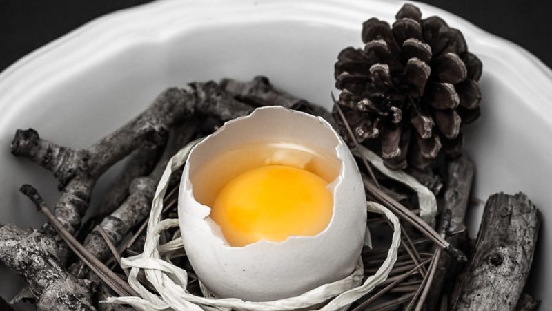 Egg Zen story