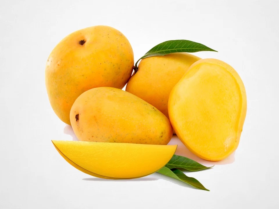 obey king mango kannada story