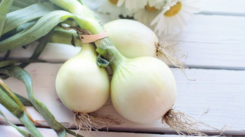 ಈರುಳ್ಳಿ onion benefits