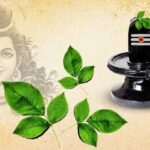 ಬಿಲ್ವಪತ್ರೆ ಯ ಮಹತ್ವವೇನು? bilvapatre